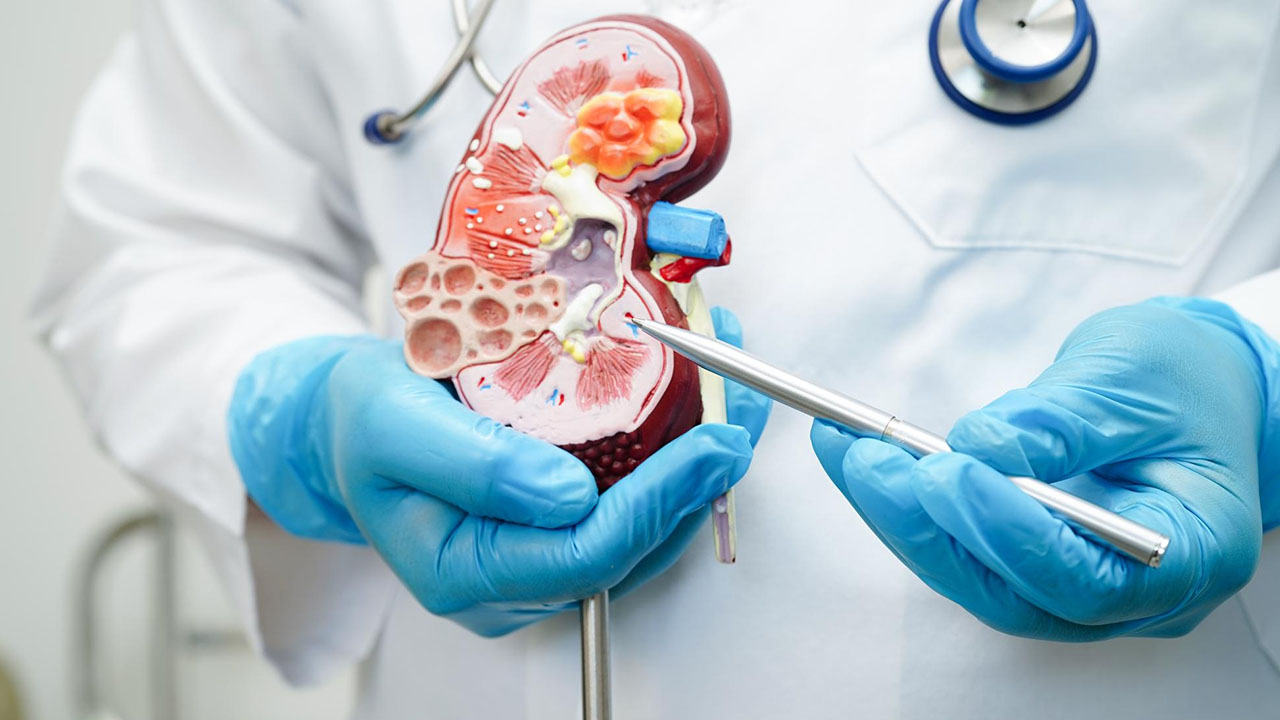 Urology